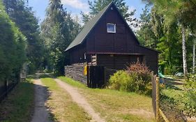 domki nad jeziorem, las, do 10 osób jezioro Wilczyńskie Budzisławskie - domek letniskowy osobno ogrodzony, ogrzewany mile widziane pieski, zwierzeta- wielkopolska, 62-550 Zygmuntowo gm Wilczyn